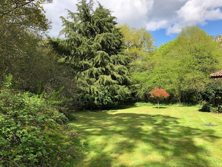 Forestry Cottage. Hot Tub, Open Fire, Dog Friendly Gaywood Dış mekan fotoğraf