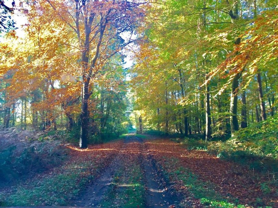 Forestry Cottage. Hot Tub, Open Fire, Dog Friendly Gaywood Dış mekan fotoğraf