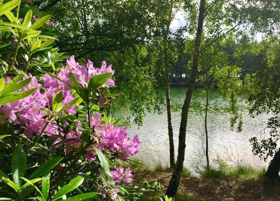 Forestry Cottage. Hot Tub, Open Fire, Dog Friendly Gaywood Dış mekan fotoğraf