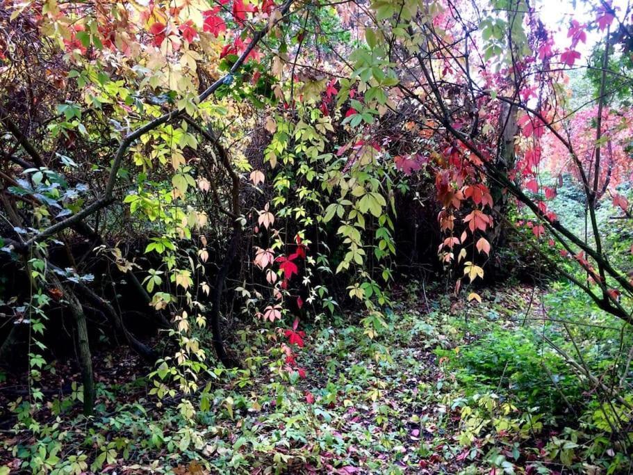 Forestry Cottage. Hot Tub, Open Fire, Dog Friendly Gaywood Dış mekan fotoğraf