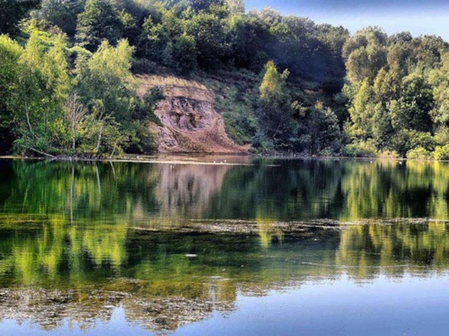 Forestry Cottage. Hot Tub, Open Fire, Dog Friendly Gaywood Dış mekan fotoğraf