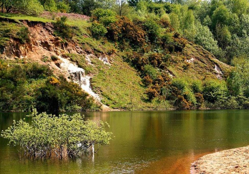 Forestry Cottage. Hot Tub, Open Fire, Dog Friendly Gaywood Dış mekan fotoğraf